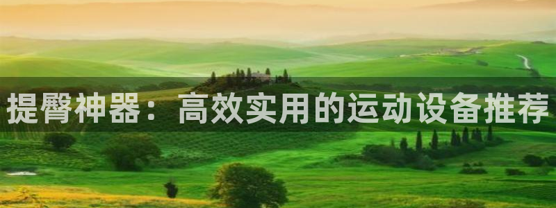 yy易游体育官网下载是干嘛的公司:提臀神器:高效实用的运动设