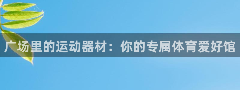 yy易游体育官网下载平台:广场里的运动器材:你的专属体育爱好