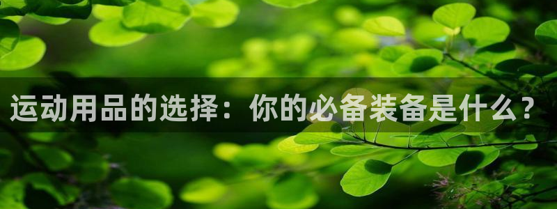yy易游体育官网下载招商电话是多少:运动用品的选择:你的必备