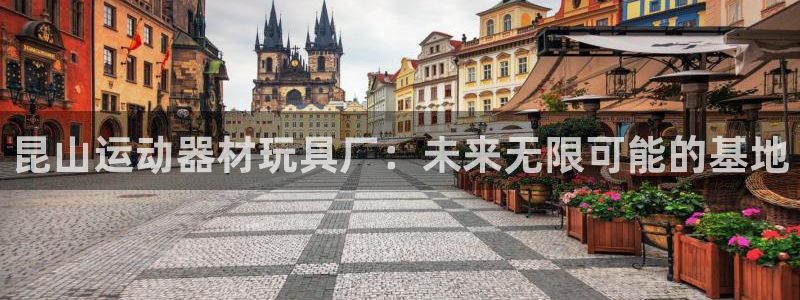 yy易游体育官网下载招商电话号码:昆山运动器材玩具厂:未来无