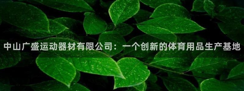 yy易游体育官网下载招商电话号码:中山广盛运动器材有限公司: