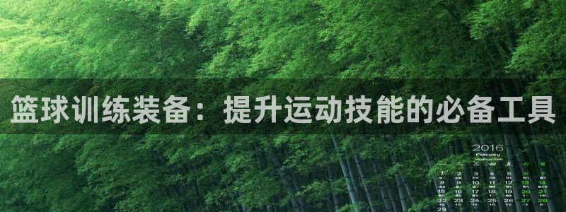 yy易游体育官网下载平台是正规平台吗安全吗:篮球训练装备:提